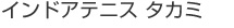 インドアテニス　タカミ